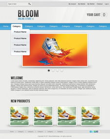 国外优秀电子商务网页设计教程与网络工程实践指南